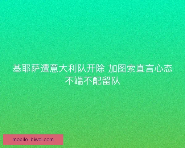 基耶萨遭意大利队开除 加图索直言心态不端不配留队