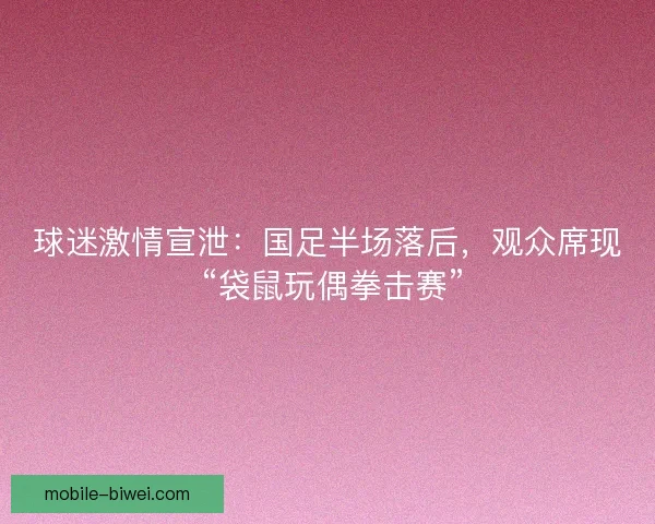 球迷激情宣泄：国足半场落后，观众席现 “袋鼠玩偶拳击赛”