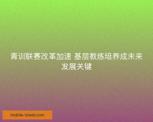 青训联赛改革加速 基层教练培养成未来发展关键 青训联赛改革加速 基层教练培养成未来发展关键